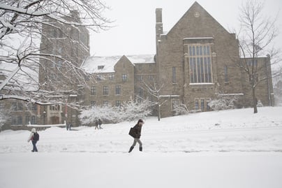 Cornell Students Escape The Cold To Sunny Florida Internship.jpg