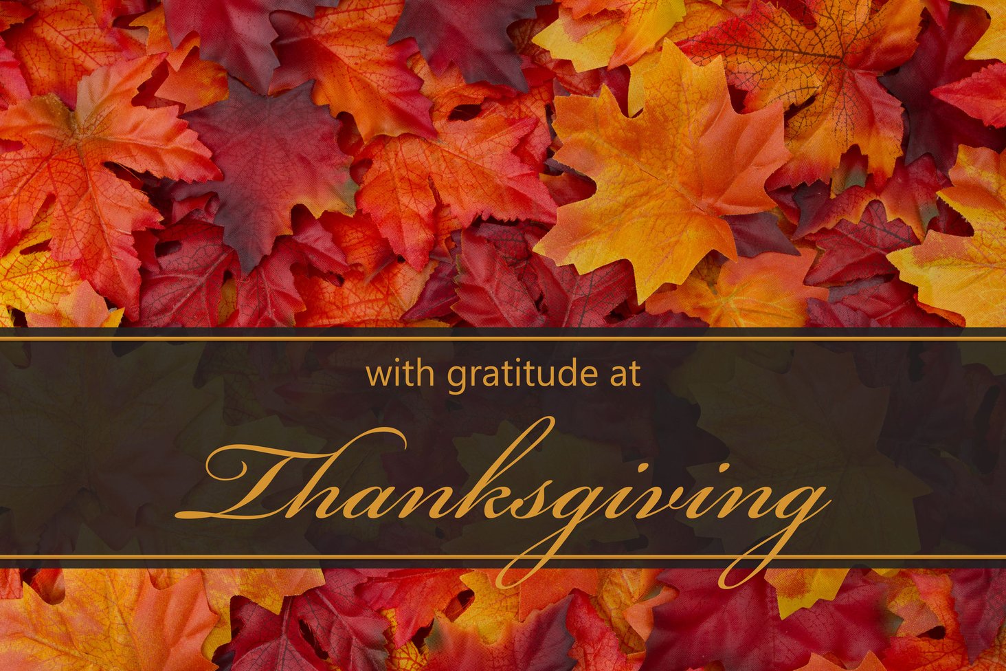 Free thanksgiving lesson plans preschool